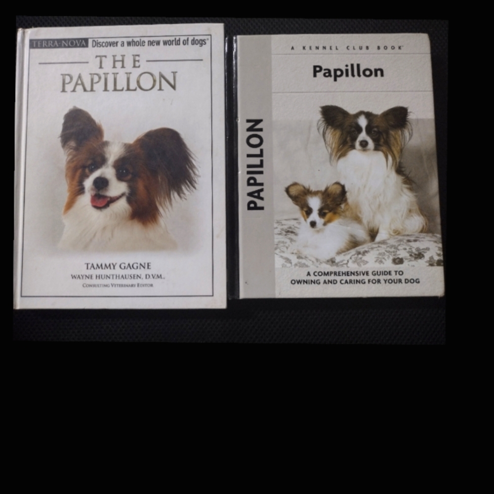 The Papillon - The Dog With Ears So Cute, They Could Fly.... Like A Butterfly